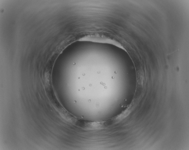 X0000076380184200610271537