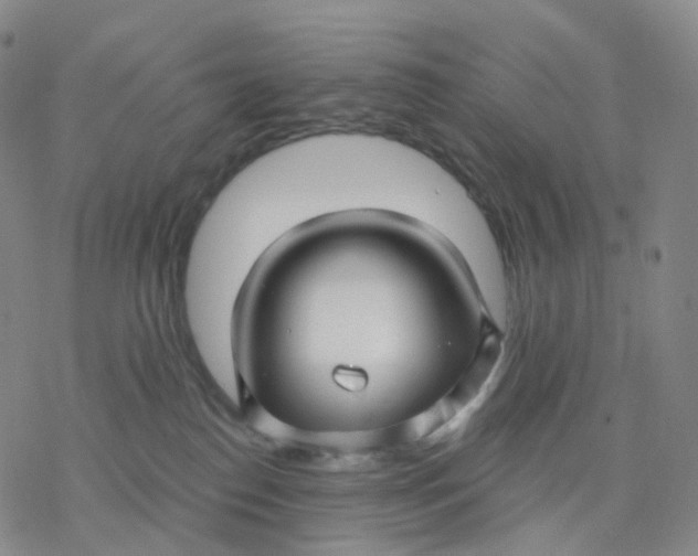 X0000076380186200610271537