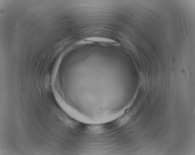 X0000076380189200610271537