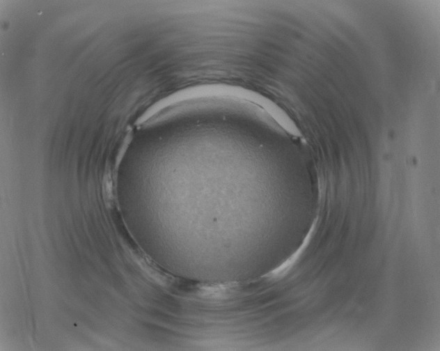 X0000076380190200610271537