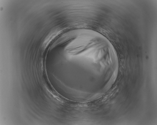 X0000076380194200610271536