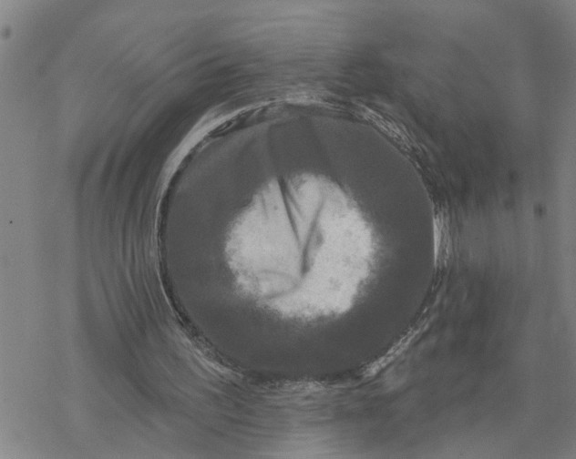 X0000076380195200610271536