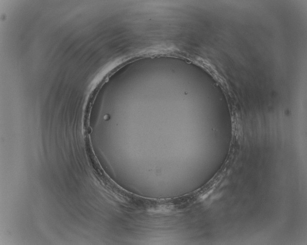 X0000076380196200610271536