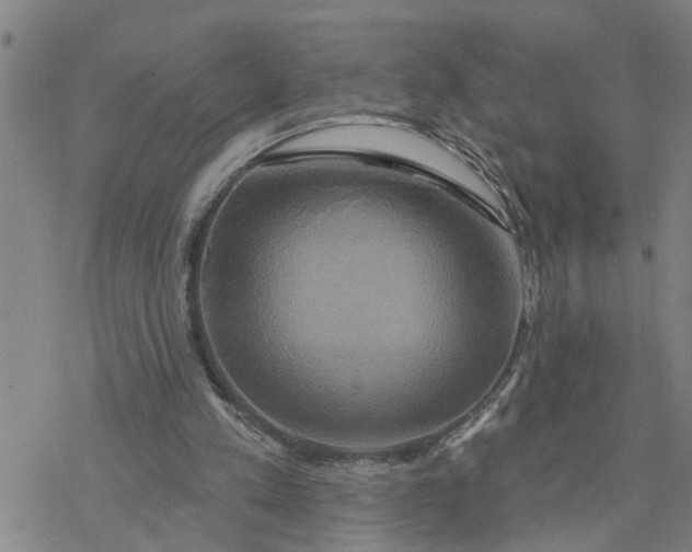 X0000076380197200610271536