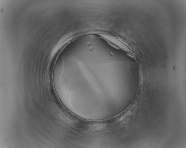 X0000076380198200610271536