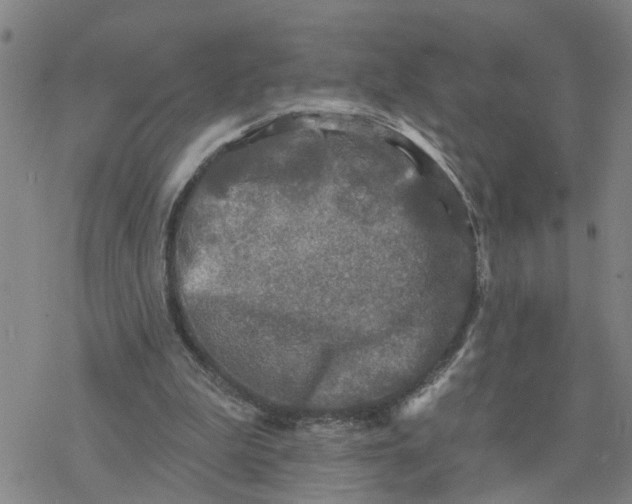 X0000076380199200610271536