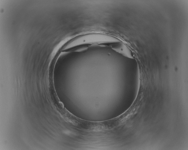 X0000076380200200610271536