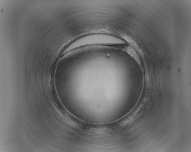 X0000076380201200610271536