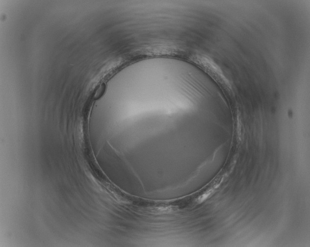 X0000076380202200610271536