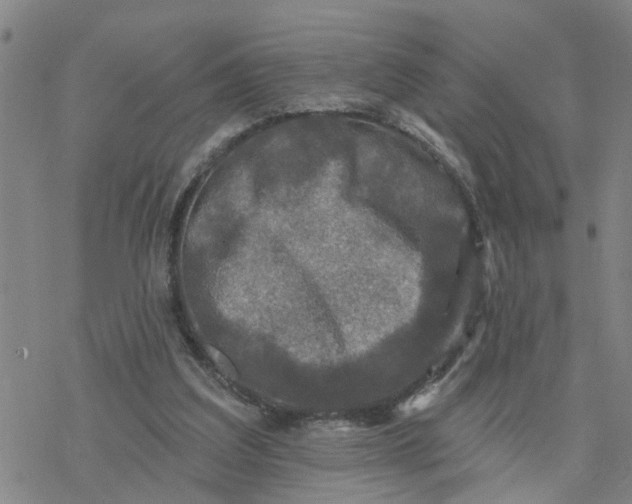 X0000076380203200610271536