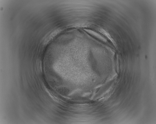 X0000076380205200610271536