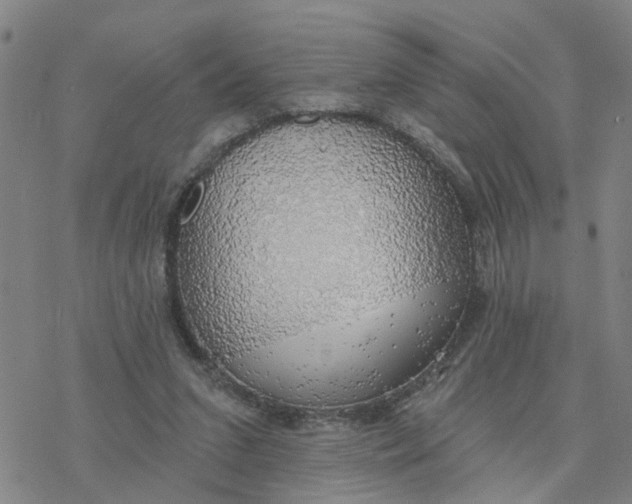 X0000076380207200610271536