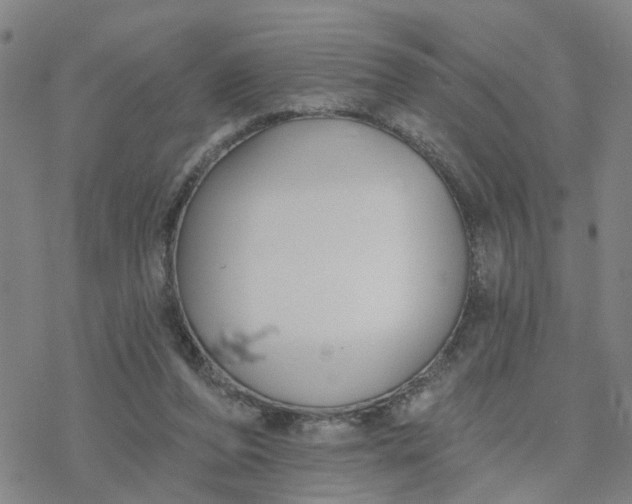 X0000076380208200610271536