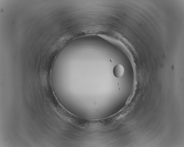 X0000076380209200610271536