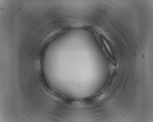 X0000076380211200610271536