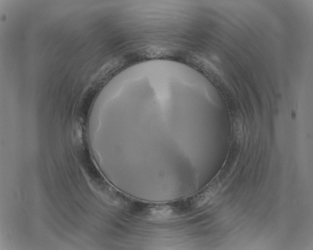 X0000076380214200610271536