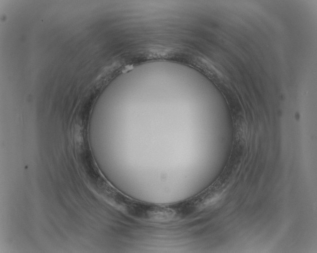 X0000076380215200610271536