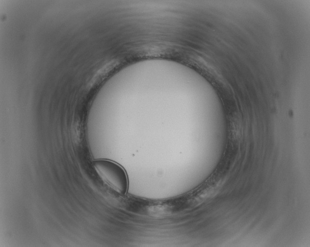 X0000076380216200610271536