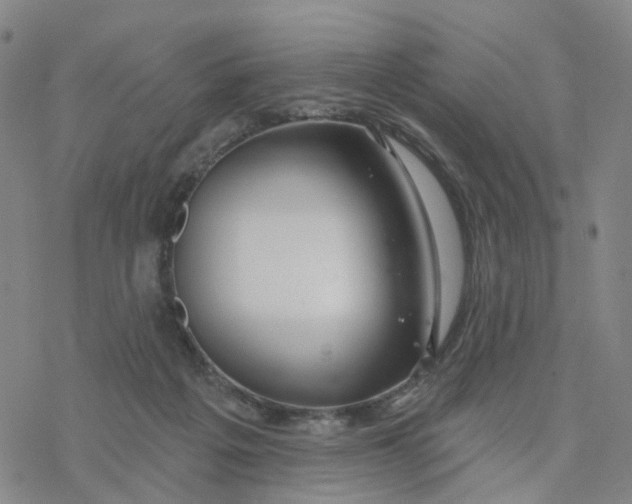 X0000076380217200610271536