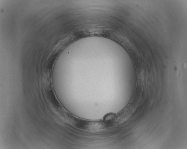 X0000076380218200610271536