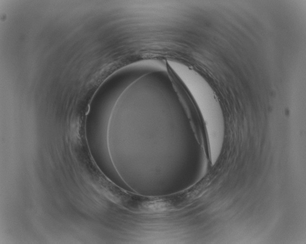 X0000076380219200610271536