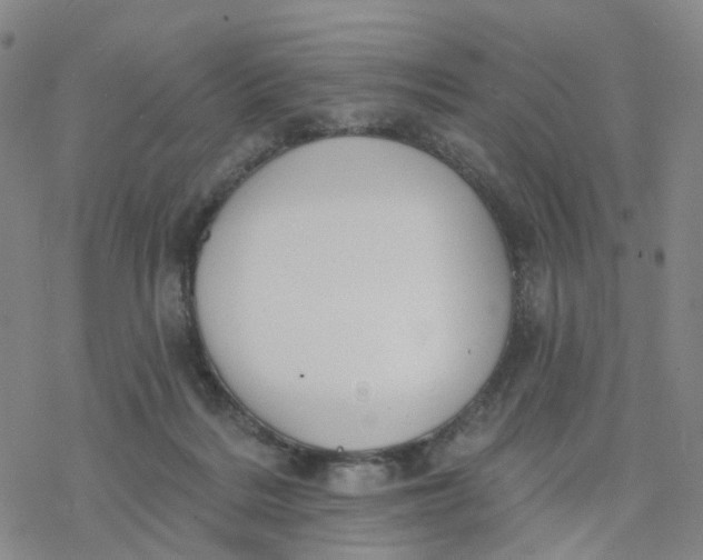 X0000076380220200610271536