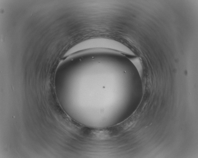 X0000076380221200610271536