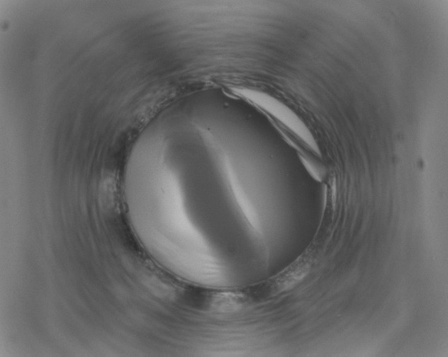 X0000076380222200610271536