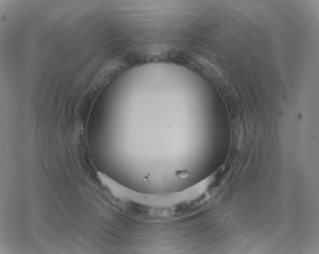 X0000076380225200610271536