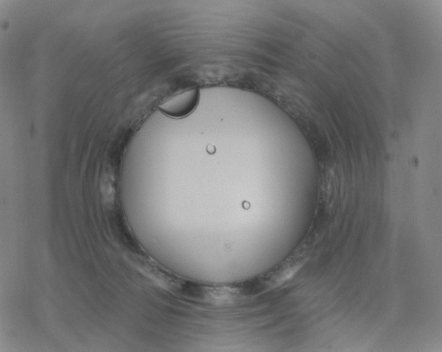 X0000076380226200610271536