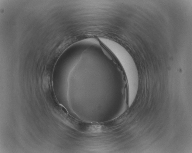 X0000076380227200610271536