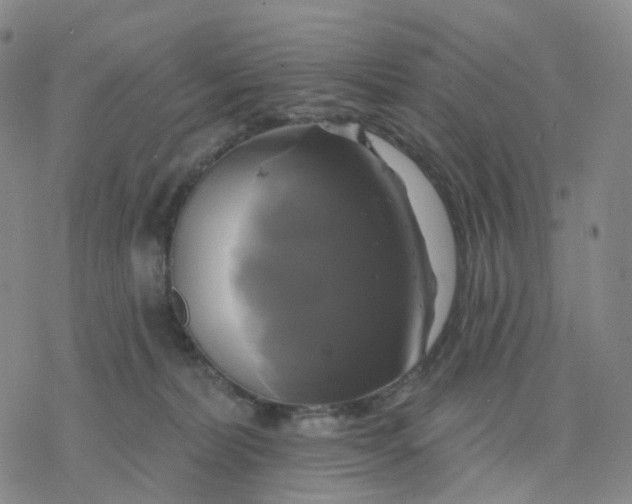 X0000076380228200610271536