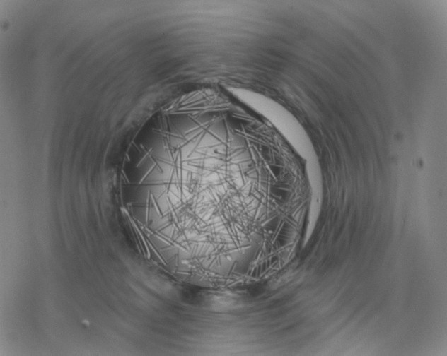 X0000076380229200610271536