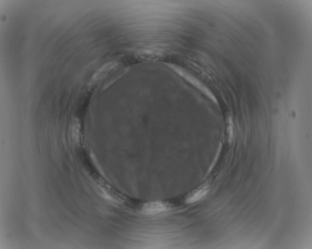 X0000076380231200610271536