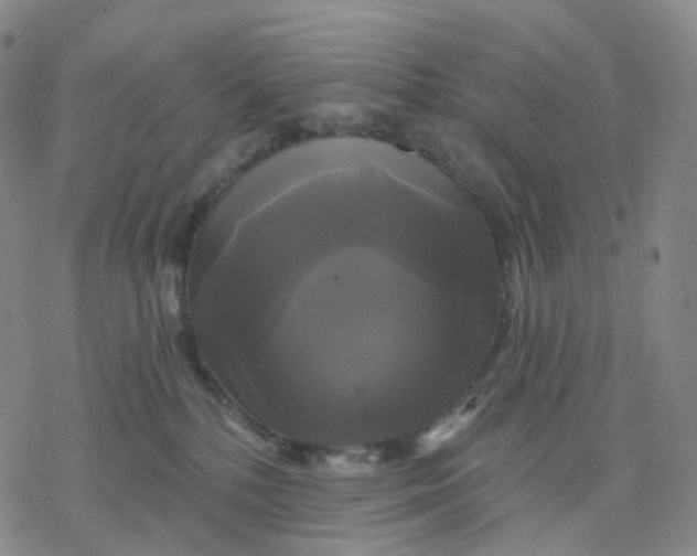 X0000076380232200610271536