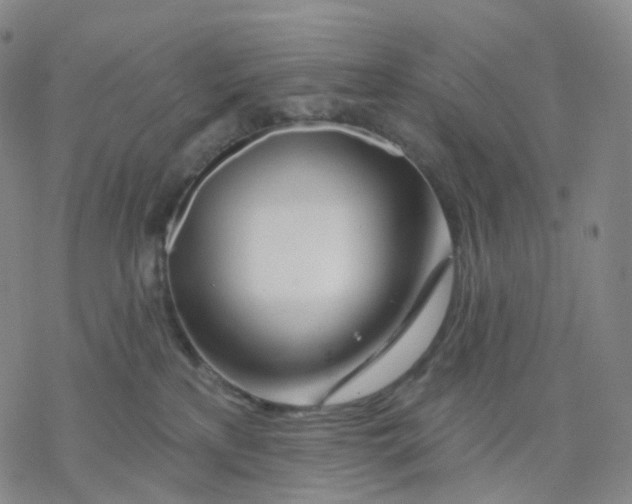 X0000076380233200610271536