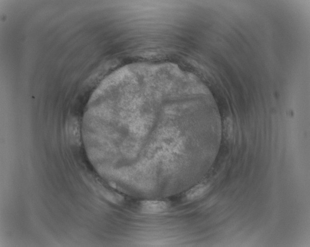 X0000076380234200610271536