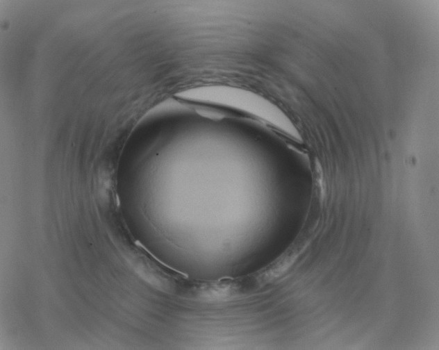 X0000076380235200610271536