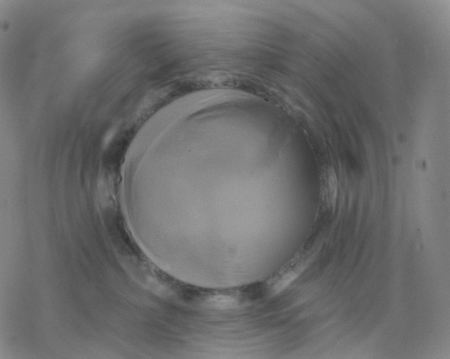 X0000076380236200610271536