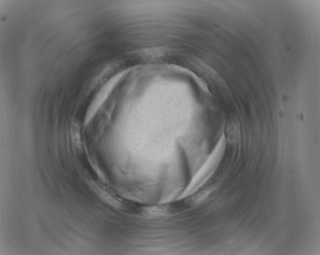 X0000076380238200610271536