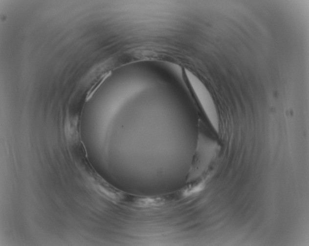 X0000076380239200610271536