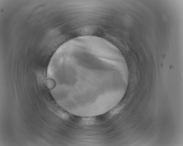 X0000076380240200610271536