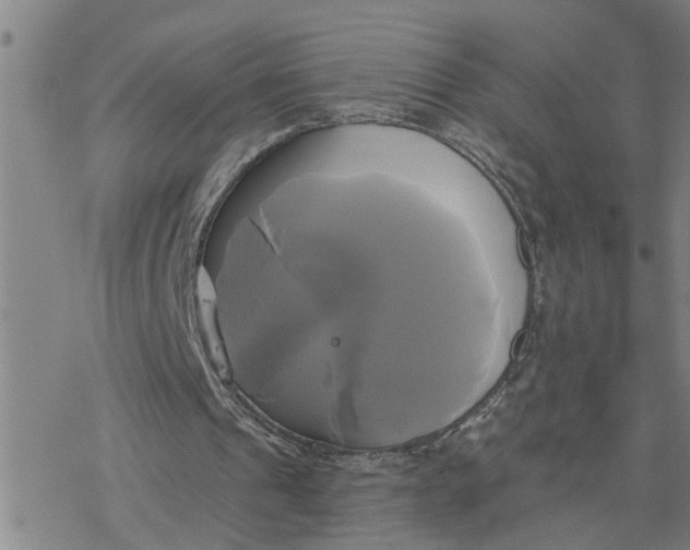 X0000076380241200610271535