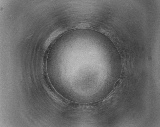 X0000076380242200610271535