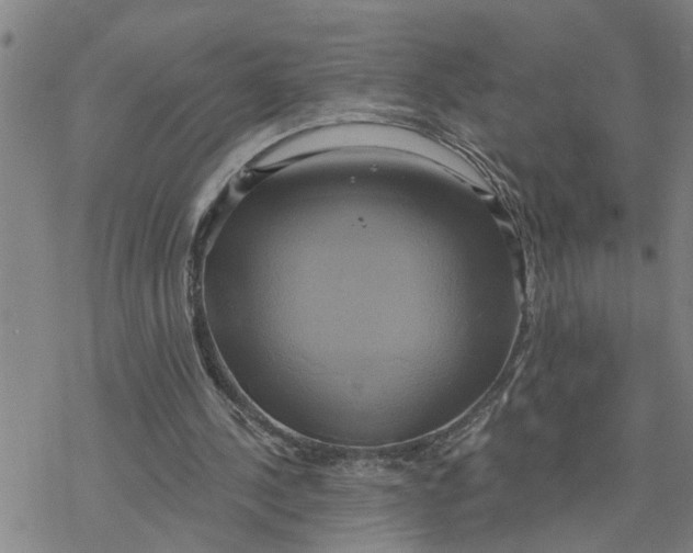 X0000076380244200610271535