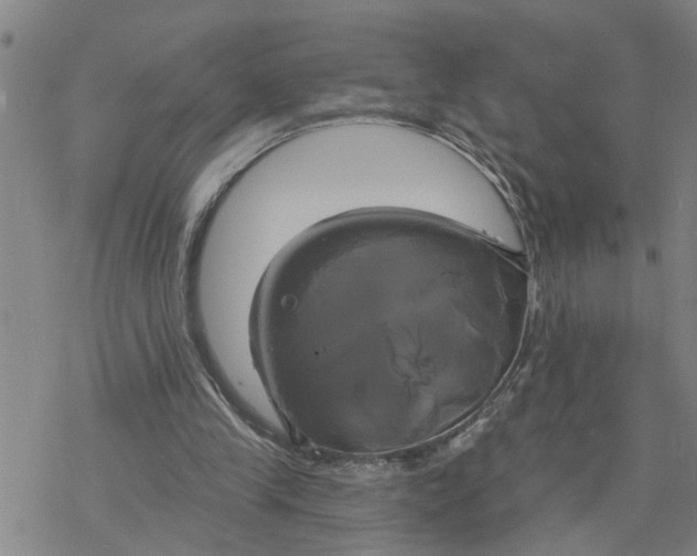 X0000076380245200610271535