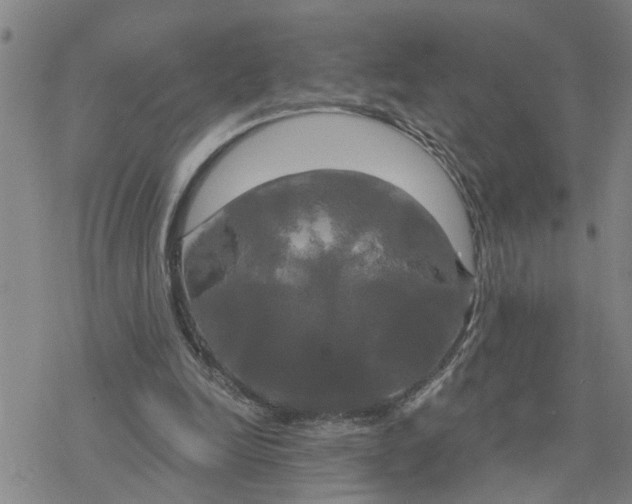 X0000076380246200610271535