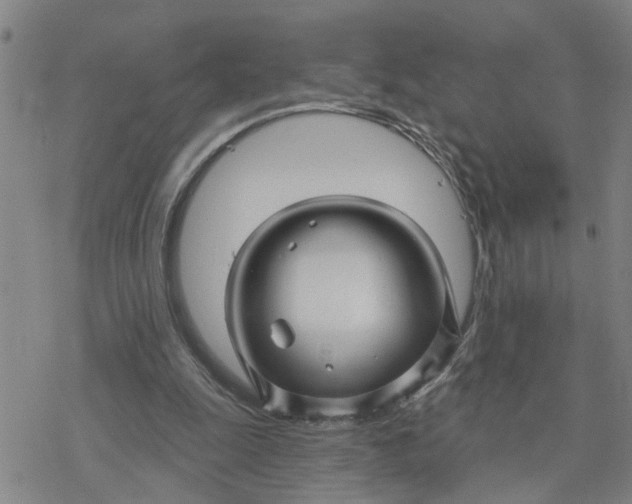 X0000076380247200610271535