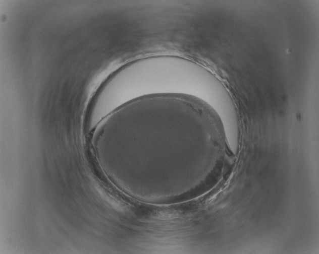 X0000076380248200610271535