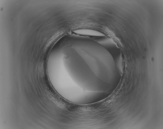 X0000076380250200610271535